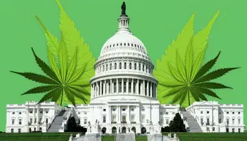 Senate Banking Panel Confronts Cannabis Finance Gap That Rescheduling Cannot Fix